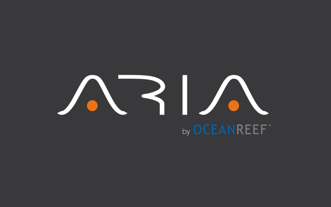 ARIA – The original nosebreathing snorkeling mask